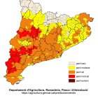 Mapa del risc d'incendi a Catalunya d'aquest diumenge 29 de juny.