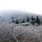 Imatge d'arxiu d'un paisatge glaçat.