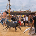 La tienta de vaquillas se hizo en la calle de Pompeu Fabra con un gran éxito de público.