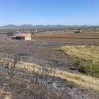 Declarados tres incendios de vegetación en el Pla de Santa Maria, Reus y Torredembarra