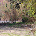 Barranco próximo a unos viveros de Mont-roig del Camp, donde apareció un cadáver dentro de una bolsa de basura.