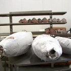 Els lots de tonyina que possiblement han causat les intoxicacions van ser comercialitzats per l'empresa Garciden.
