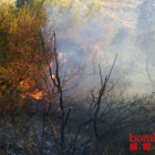 El fuego ha afectado a más de dos hectáreas de masa forestal y campos de olivos abandonados.
