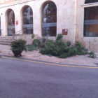 Imagen de la gran rama caída a la plaza del Pallol.