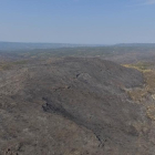 Pla aeri captat amb dron de la zona cremada per l'incendi de Ribera d'Ebre a Bovera amb una gran extensió de terreny afectat per les flames, el 2 de juliol de 2019
