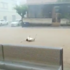 Imagen de las calles inundadas en Sant Carles de la Ràpita.