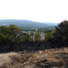 Una de las zonas de la urbanización Mas Vermell afectada por el incendio de vegetación forestal en el término municipal de Querol.