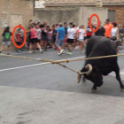 Pla general del bou capllaçat d'aquest passat cap de Setmana a Santa Bàrbara amb els menors participants encerclats.