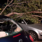 Imatge d'uns arbres caiguts a Tortosa que van provocar danys a diversos cotxes.