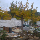Los espacios comunes del Camping La Unión de Salou, destrozados por la acción de un grupo.