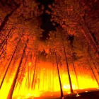 Imatge del foc que crema a la RIbera d'Ebre.