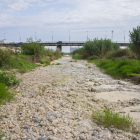 Imatge de la llera del tram final del Riu Francolí totalment seca, una situació que es repeteix constantment en els mesos d'estiu.