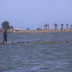 Arrossaires comprueban el agua del mar que ha entrado a los arrozales de la balsa de la Arena del delta del Ebro.