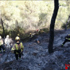 Bomber treballant en les tasques d'extinció d'un incendi que s'ha declarat al terme municipal de Vinebre (Ribera d'Ebre)