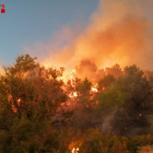 Imatge d'arbres en flames a l'incendi de vegetació a Tortosa.