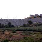Algunas placas solares del parque de Flix con alguna aerogeneradores de un parque eólico en el fondo.