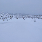 Imagen del término de Arnes, en la Terra Alta, con gruesos|grosores de nieve de 60 cm.