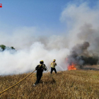 Efectius dels Bombers de la Generalitat treballant en l'extinció de l'incendi agrícola de la Pobla de Massaluca.