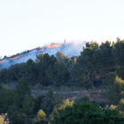 Un incendio quema una zona boscosa en la Selva del Camp.