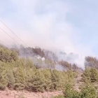 Imatge de l'incendi a Vandellòs i l'Hospitalet de l'Infant.