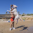 Imatge d'arxiu d'un gos a l'espai habilitat a la platja del Miracle de Tarragona, l'any 2021.