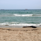 Punt de la platja del Miracle de Tarragona, on ha aparegut un cos sense cames i només un braç arrossegat pel mar.
