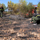 Los Agents Rurals investigando las causas del incendio de Mont-roig del Camp.