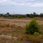 Imatge dels terrenys de Mont-roig del Camp on s'ha d'instal·lar l'empresa sud-coreana.