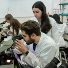 Estudiants al laboratori de la Facultat de Medicina i Ciències de la Salut de la URV.