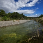 Imatge del riu Francolí.