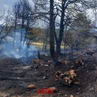 Imatge de l'incendi a Arnes.