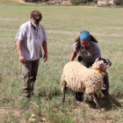 Un dels alumnes del curs de pasturatge de Concactiva intentant agafar una ovella.