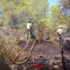 Imatge de l'incendi de vegetació a Vespella de Gaià