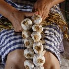 Detalle de una mujer haciendo una ristra de ajos en Belltall (Conca de Barberà).
