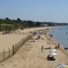Imatge de la zona per a gossos a la platja Llarga de Tarragona.