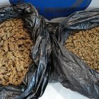 El cotxe interceptat desprenia una forta olor a marihuana.