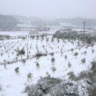 Imatge de la nevada entre l'Espluga de Francolí i Vimbodí i Poblet.