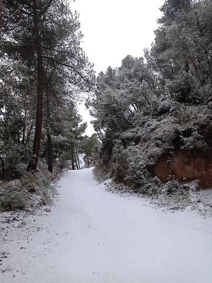 La nieve hace acto de presencia en Colldejou