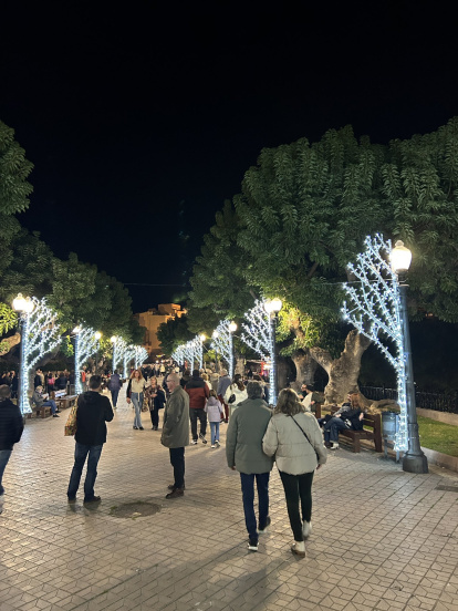 Els fanals estan decorats amb arbres lluminosos.