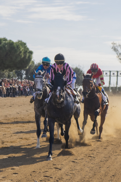 Cós de Sant Antoni de Vila-seca.