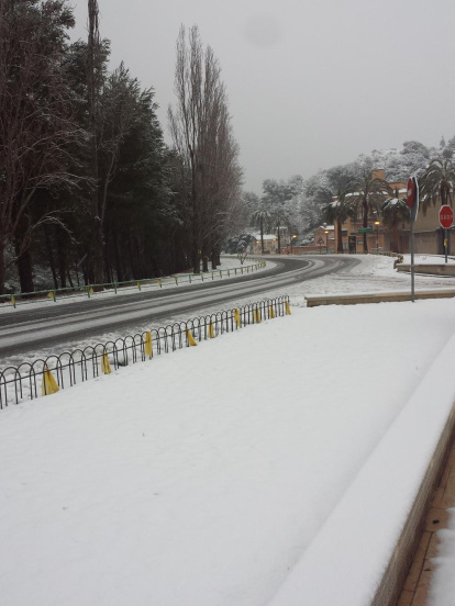Fotos de la jornada d'avui durant el temporal de neu i fred.