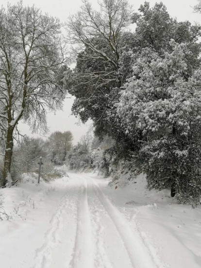 Carme Puig i Montse Alsamora.