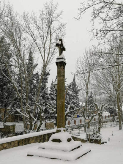 Carme Puig i Montse Alsamora.