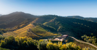 Imagen de Perinet Winery.