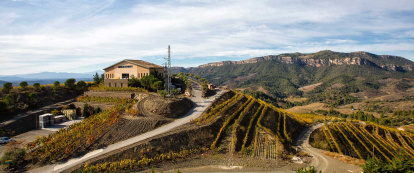 Imagen de la bodega Buil&Giné.